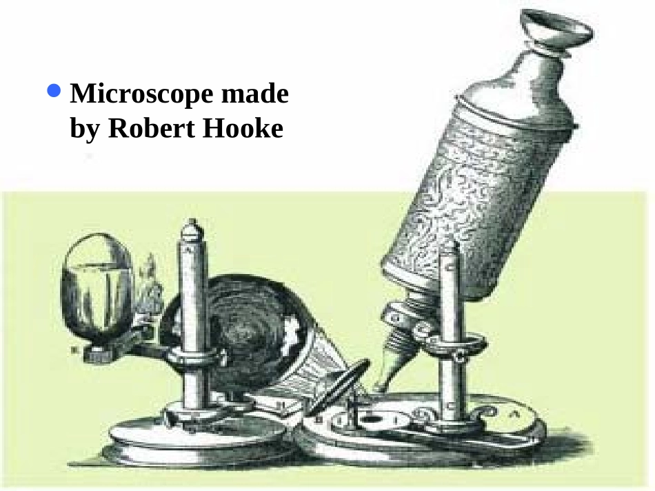 第三章_染色体和基因1_第3页