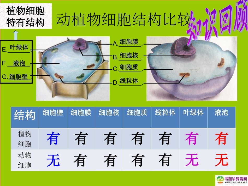 七年级生物上册细胞的生活课件新人教版_第2页