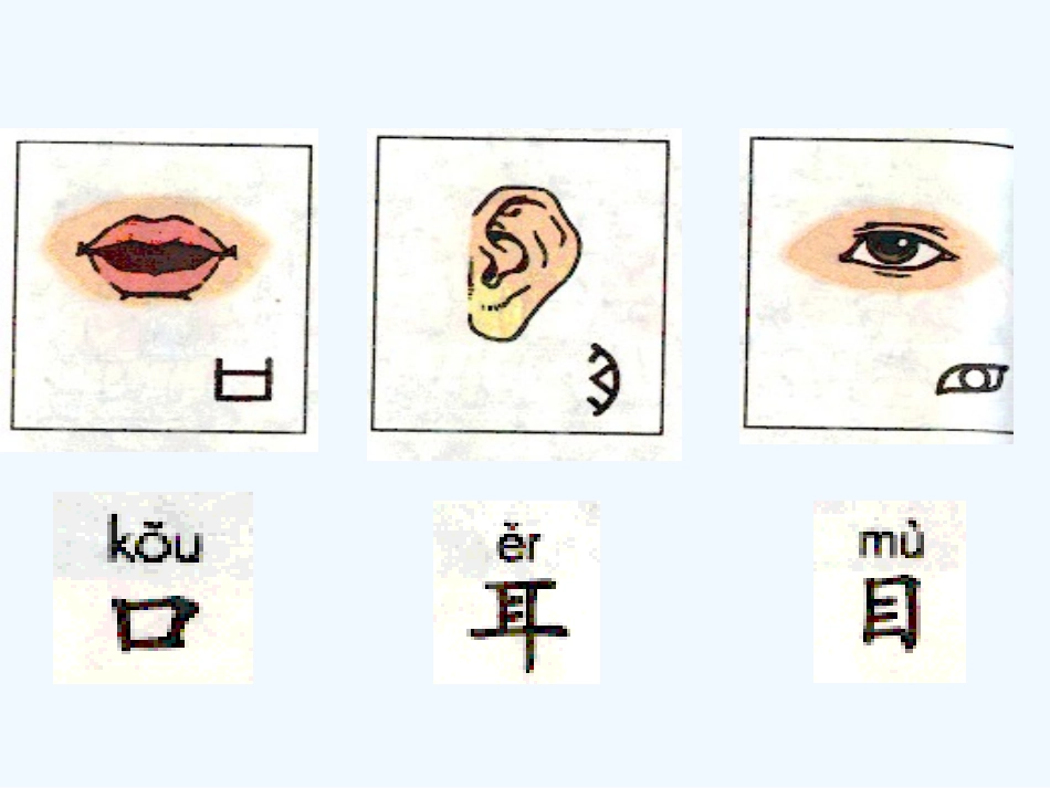(部编)人教2011课标版一年级上册口耳目教学课件_第2页