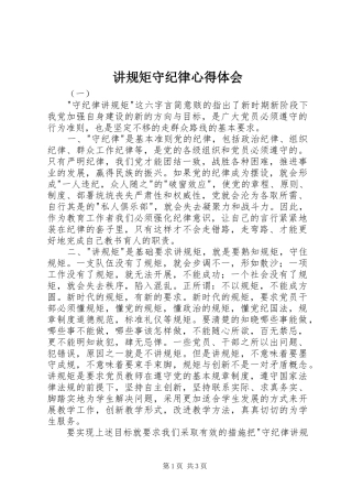 讲规矩守纪律心得体会