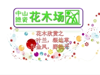 花木,绿化苗木,广东花木场之一叶兰,银边草,洋金凤,野牡丹11