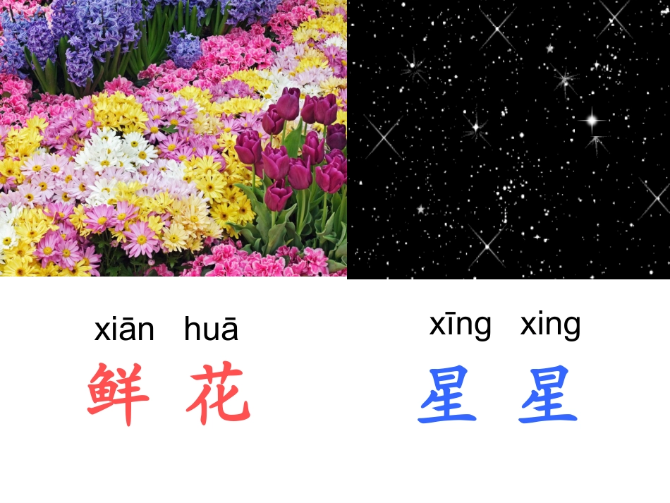 鲜花和星星第一课时_第1页