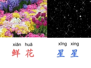 鲜花和星星第一课时