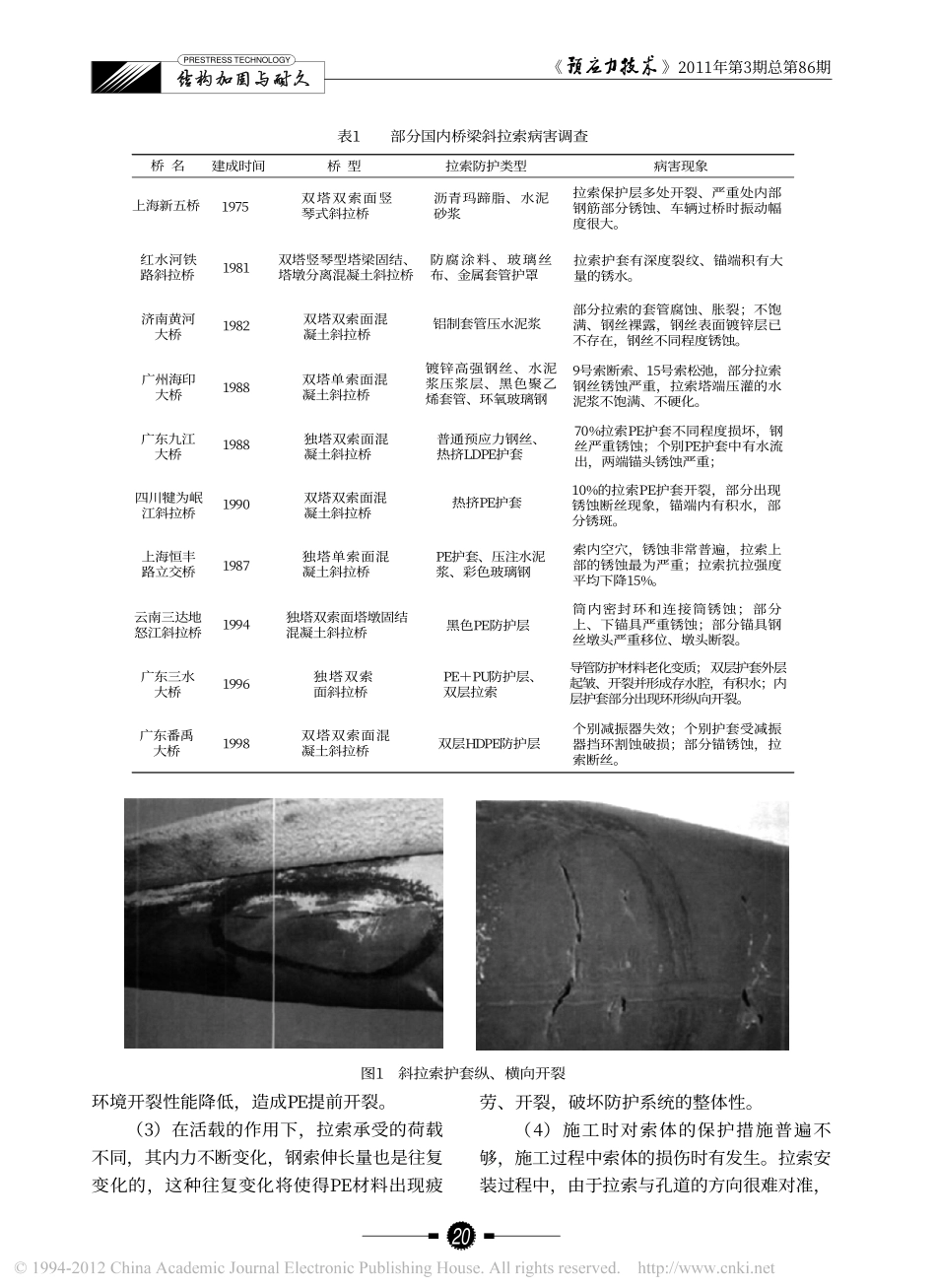 斜拉索病害及____黄侨_第2页