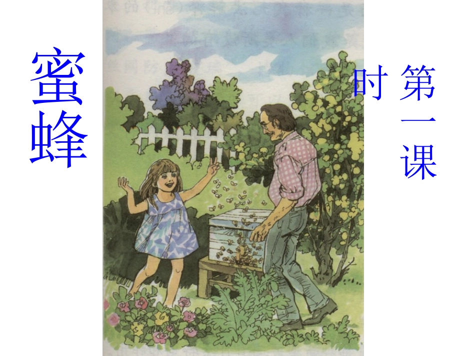 人教版第五册14、蜜蜂_第2页