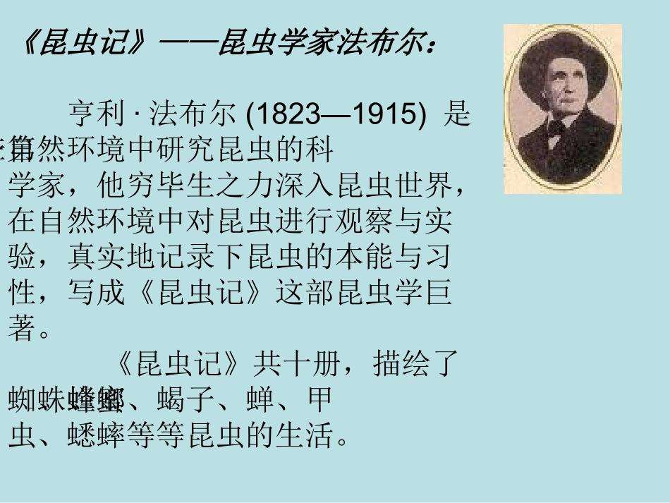 人教版第五册14、蜜蜂_第3页