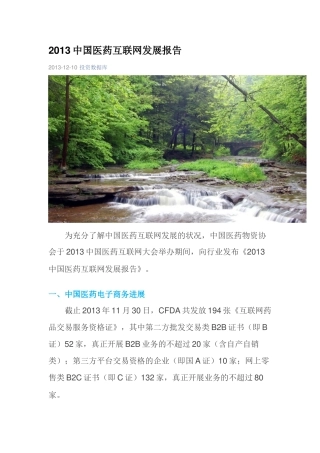 2013中国医药互联网发展报告
