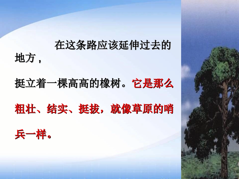 8《路旁的橡树》ppt课件--李_第3页