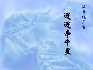 迢迢牵牛星wo