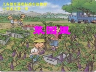 小学语文一年级课件-菜园里-2