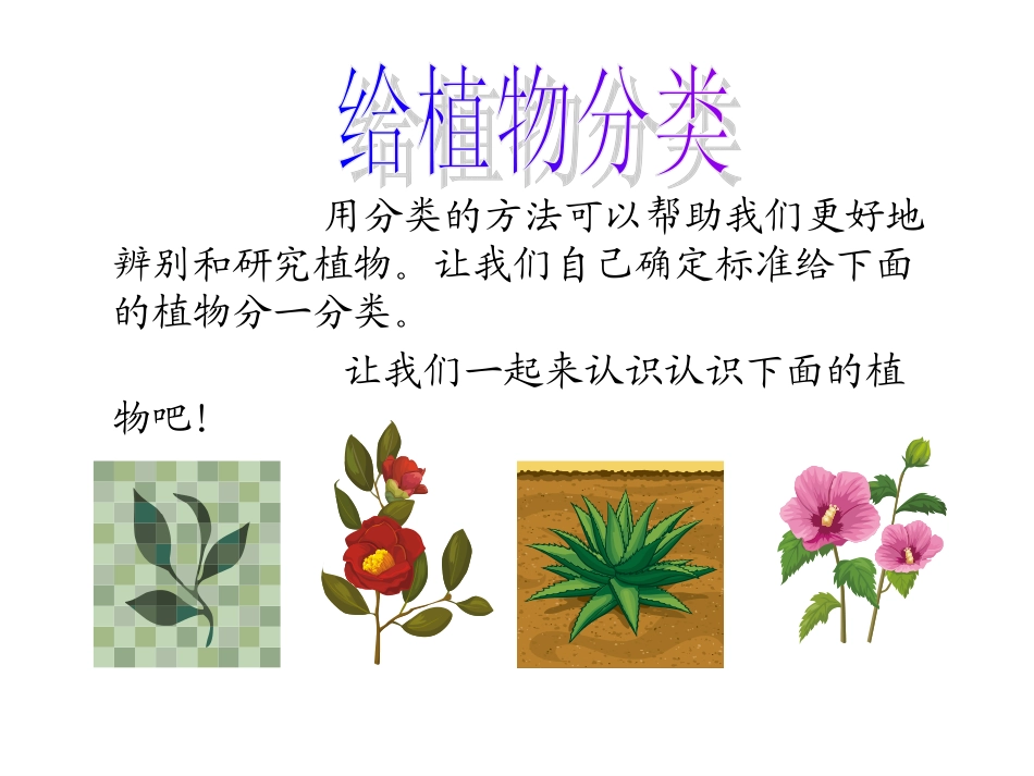 多种多样的植物_第3页