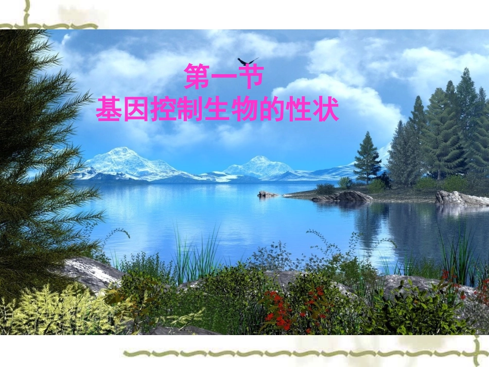 基因控制生物的性状_第1页