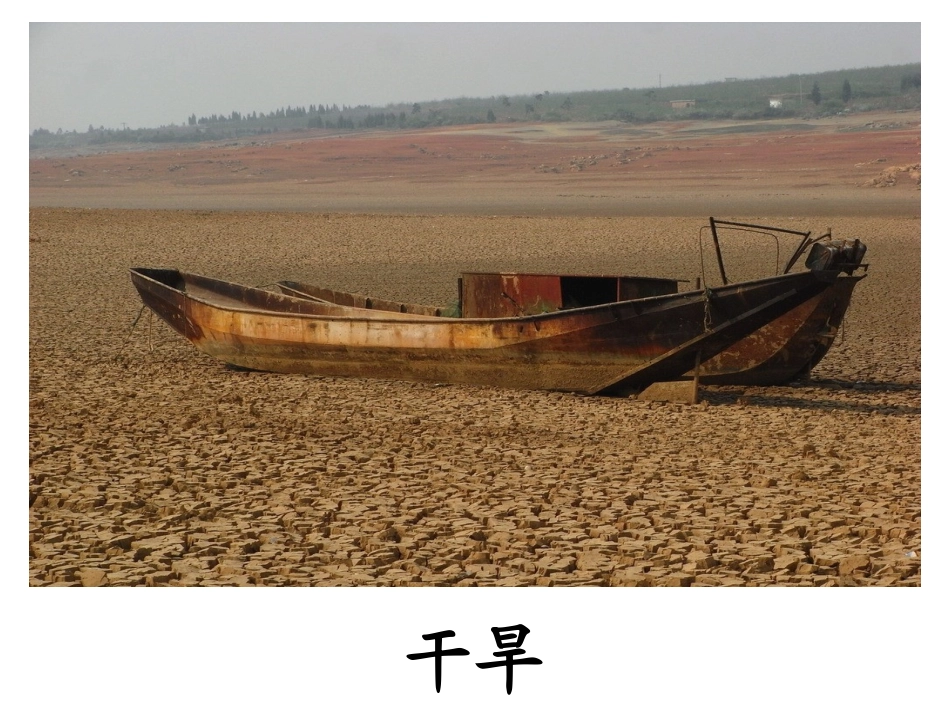 《失踪的森林王国》森林消失后的景象_第3页