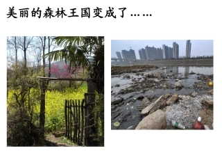 《失踪的森林王国》森林消失后的景象
