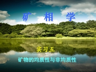实习五 矿物的均质性与非均质性