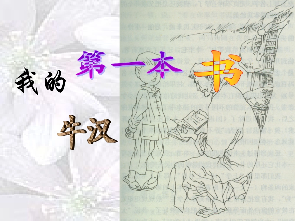 我的第一本书_第1页