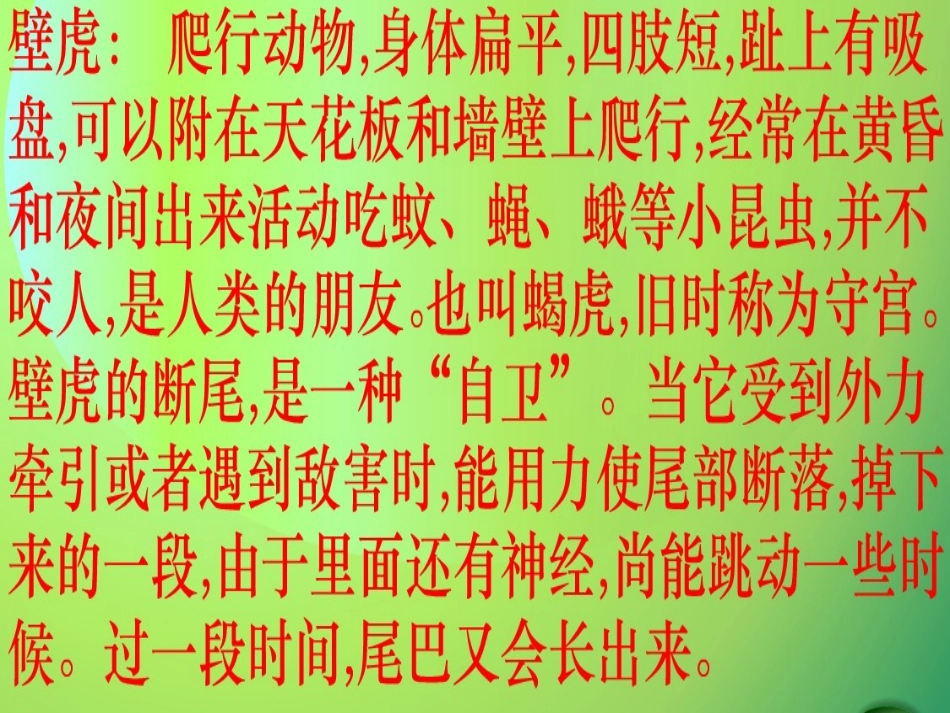 小壁虎借尾巴_第3页