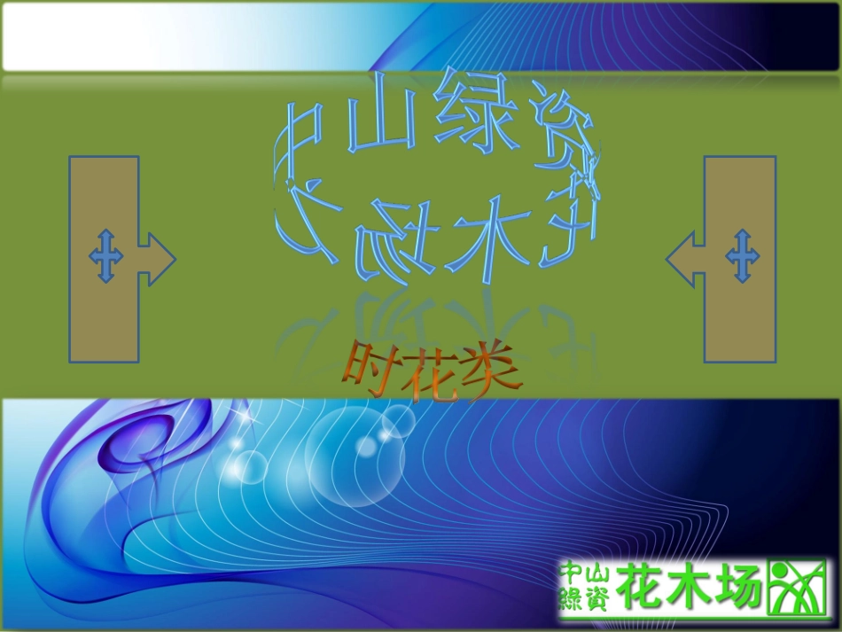 花木,花卉,时花,花木场之黄虾花,鸡冠花,皇帝菊,孔雀草,菊花21_第1页