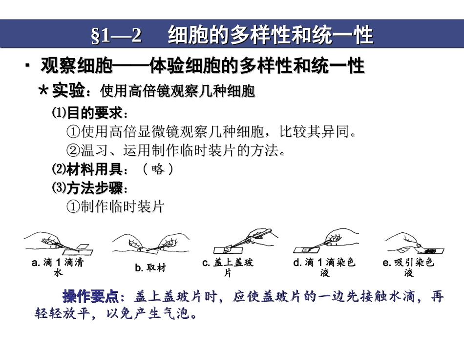 1-2细胞的多样性和统一性_第2页