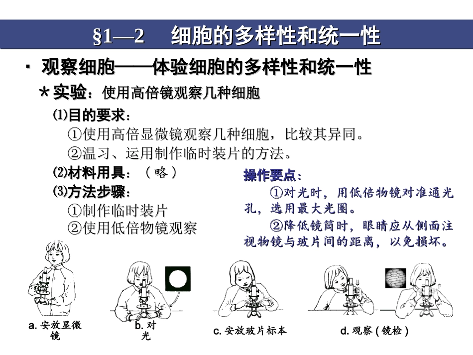 1-2细胞的多样性和统一性_第3页
