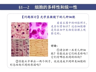 1-2细胞的多样性和统一性