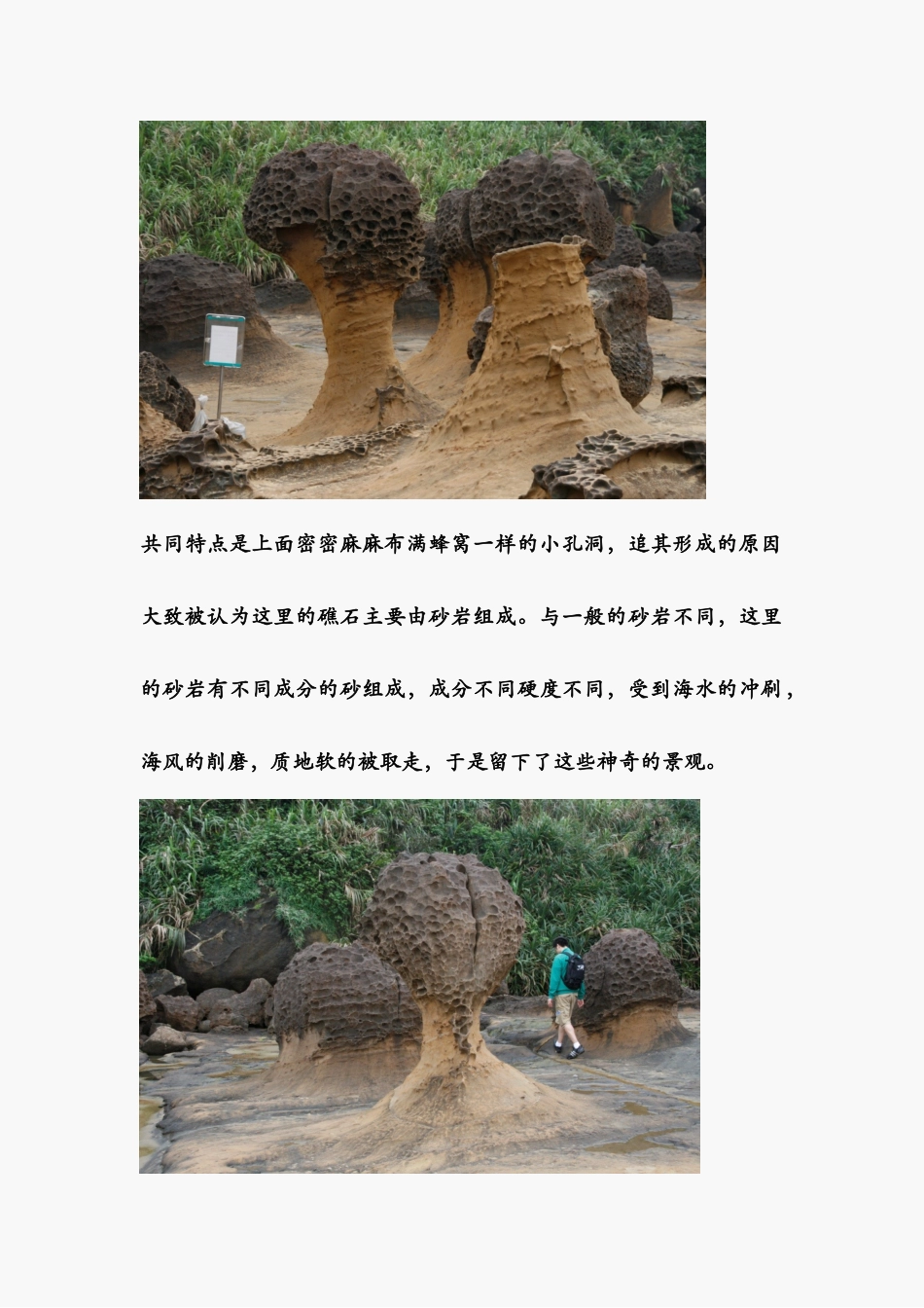 野柳的蜂窝岩地貌_第3页