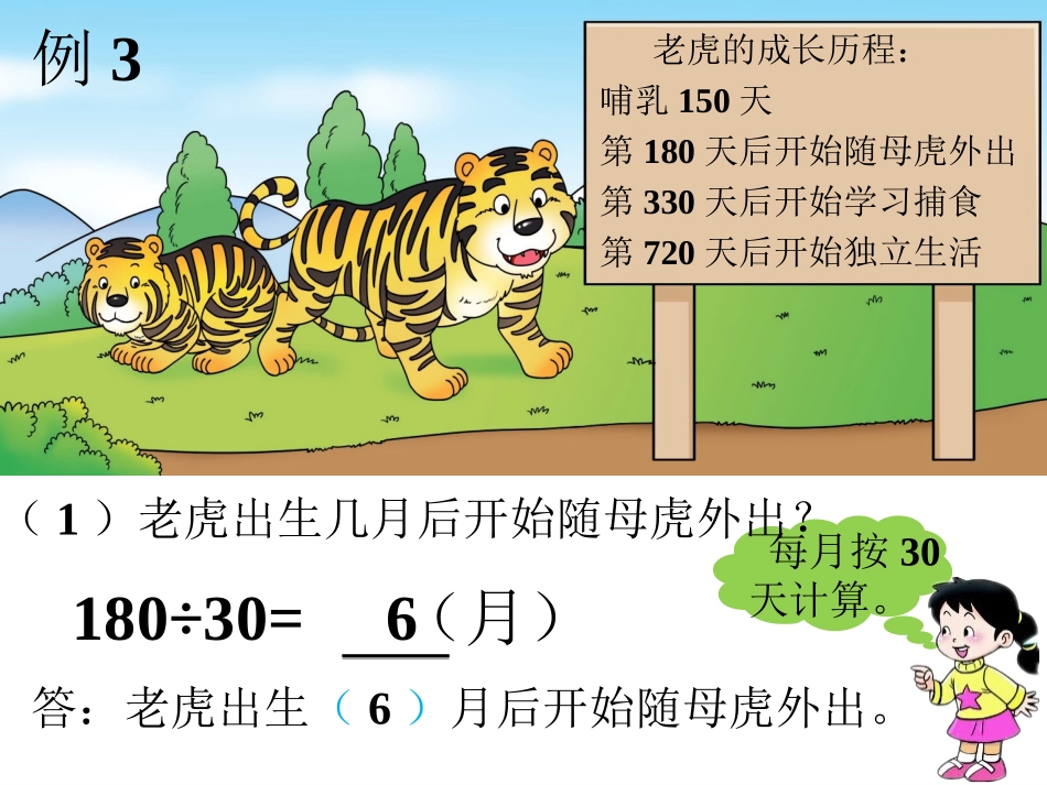 老虎的成长历程-三位数除以两位数_第1页