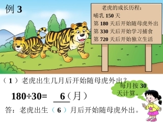 老虎的成长历程-三位数除以两位数