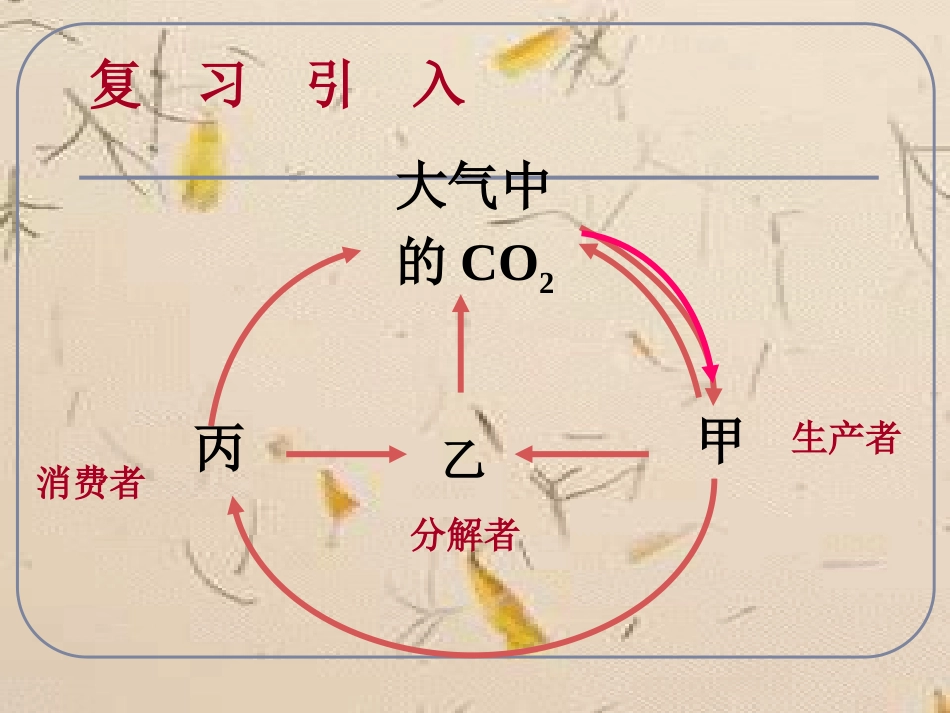 人教版教学课件必修三5-2《生态系统的能量流动》课件_第2页