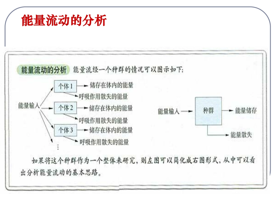 人教版教学课件必修三5-2《生态系统的能量流动》课件_第3页