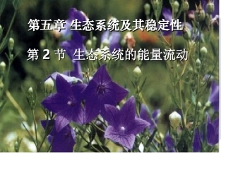 人教版教学课件必修三5-2《生态系统的能量流动》课件