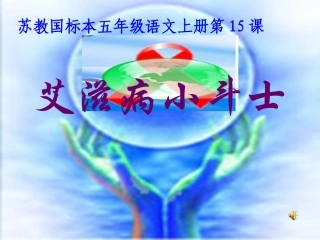 15艾滋病小斗士