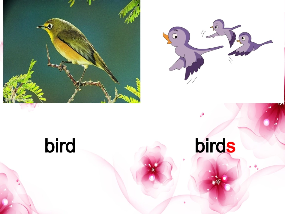 湘少版英语四上《Unit-4-These-are-flowers》ppt课件3_第3页