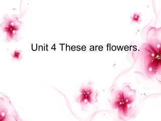 湘少版英语四上《Unit-4-These-are-flowers》ppt课件3