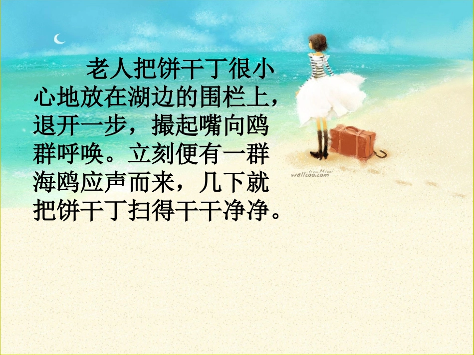 老人与海鸥ppt_第3页