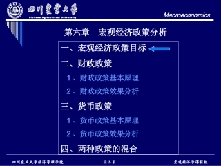第六章 宏观经济政策效果分析—财政政策