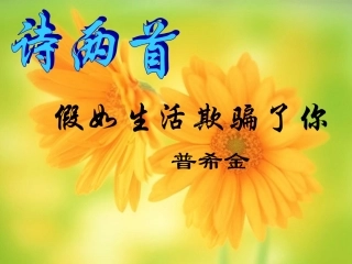 (部编)初中语文人教2011课标版七年级下册《外国诗两首》课件