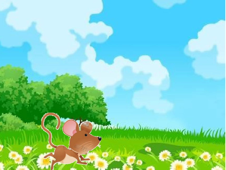 小老鼠和泡泡糖_第3页