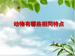 3.2.7动物有哪些相同的特点1