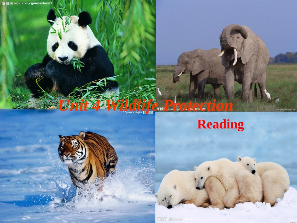 book2U4Reading_第1页