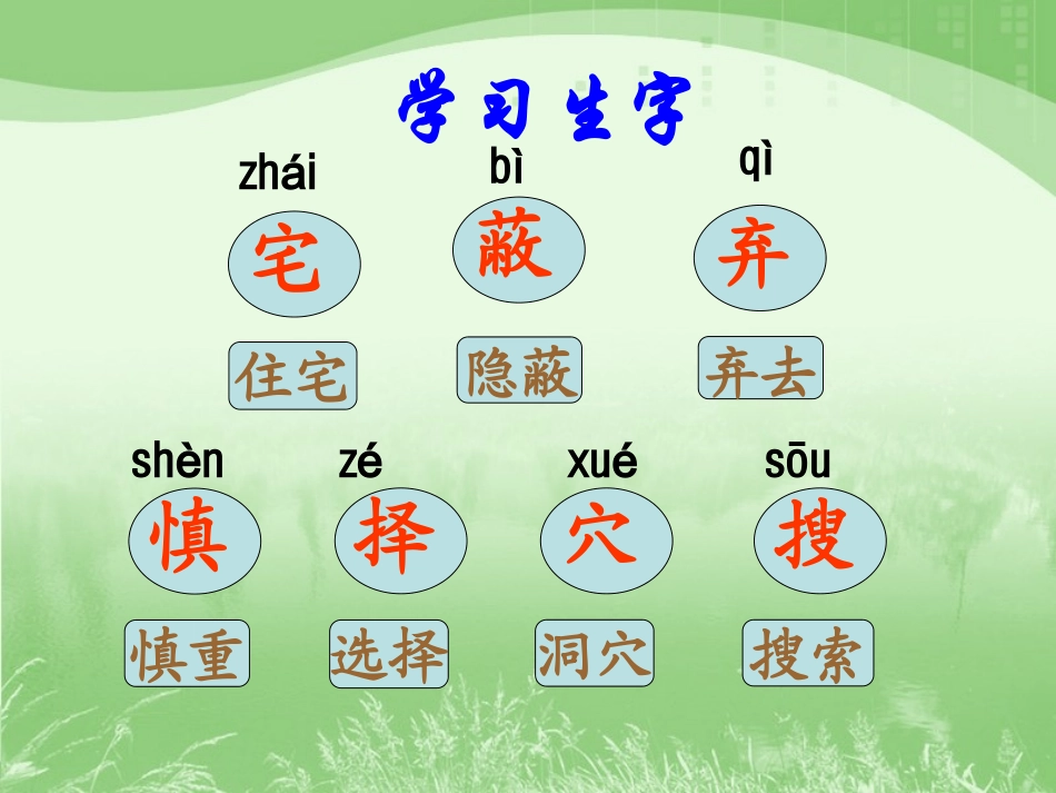 《蟋蟀的住宅》教学课件_第3页