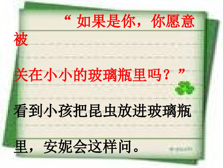 16我喜欢昆虫_第3页