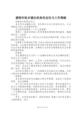 感悟年轻乡镇长的角色定位与工作策略