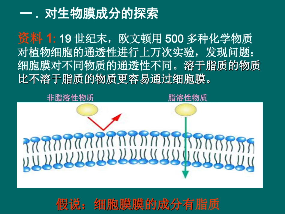 高一生物生物膜的流动镶嵌模型课件新人教版_第3页