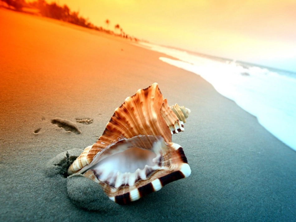 《海边的男孩》课件_第3页