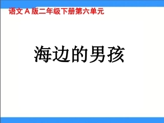 《海边的男孩》课件