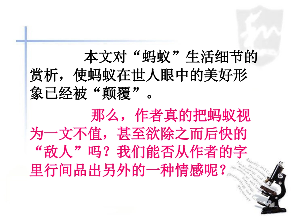 《辛劳的蚂蚁》问题探究_第1页