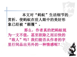 《辛劳的蚂蚁》问题探究