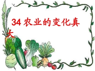 袁媛34_农业的变化真大