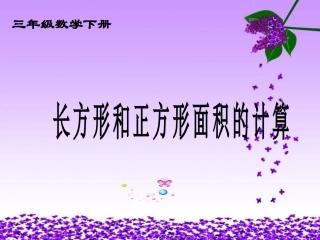 人教2011版小学数学三年级面积的计算-(3)